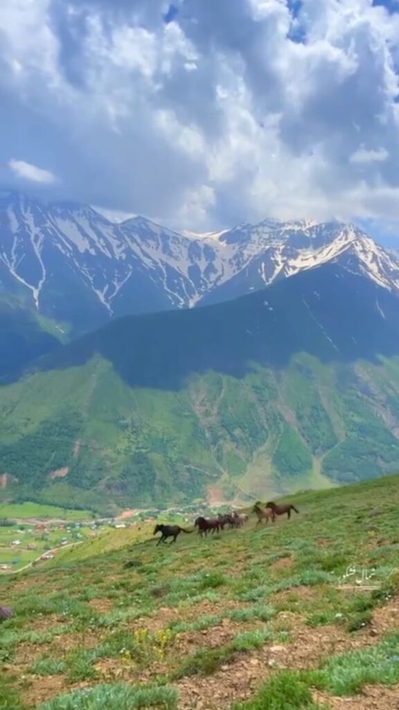 جنگل های هیرکانی الیت چالوس-مرزن آباد