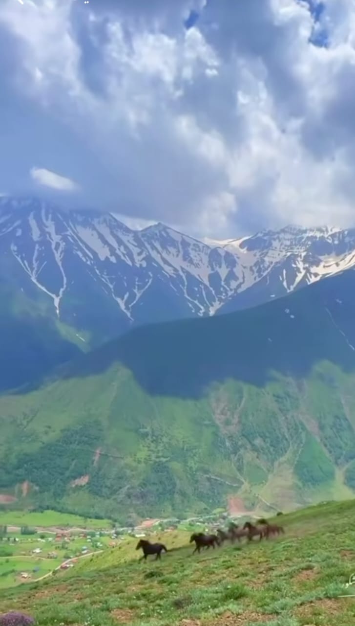 جنگل های هیرکانی الیت چالوس-مرزن آباد