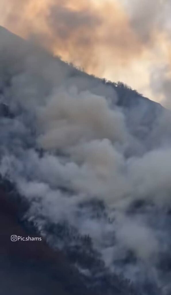 آتش‌ سوزی جنگل هیرکانی چالوس