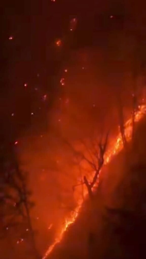 آتش‌ سوزی جنگل هیرکانی چالوس-مازندران