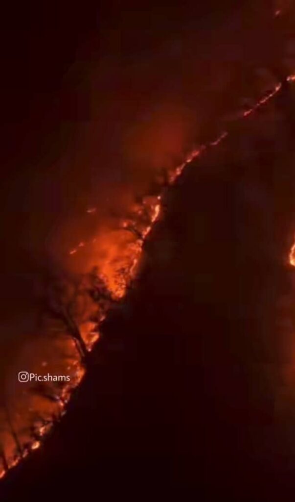 آتش‌ سوزی جنگل هیرکانی چالوس