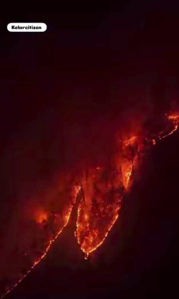 آتش‌ سوزی جنگل هیرکانی چالوس