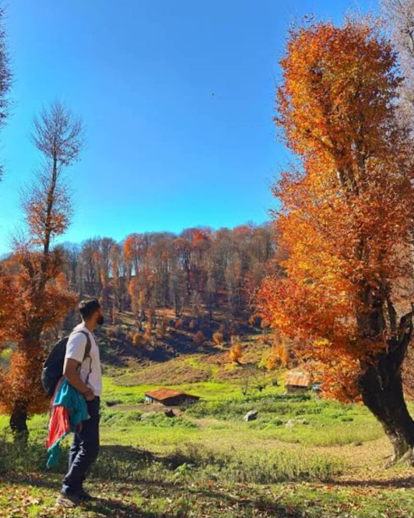 زیبایی دشت دامان گیلان در پاییز