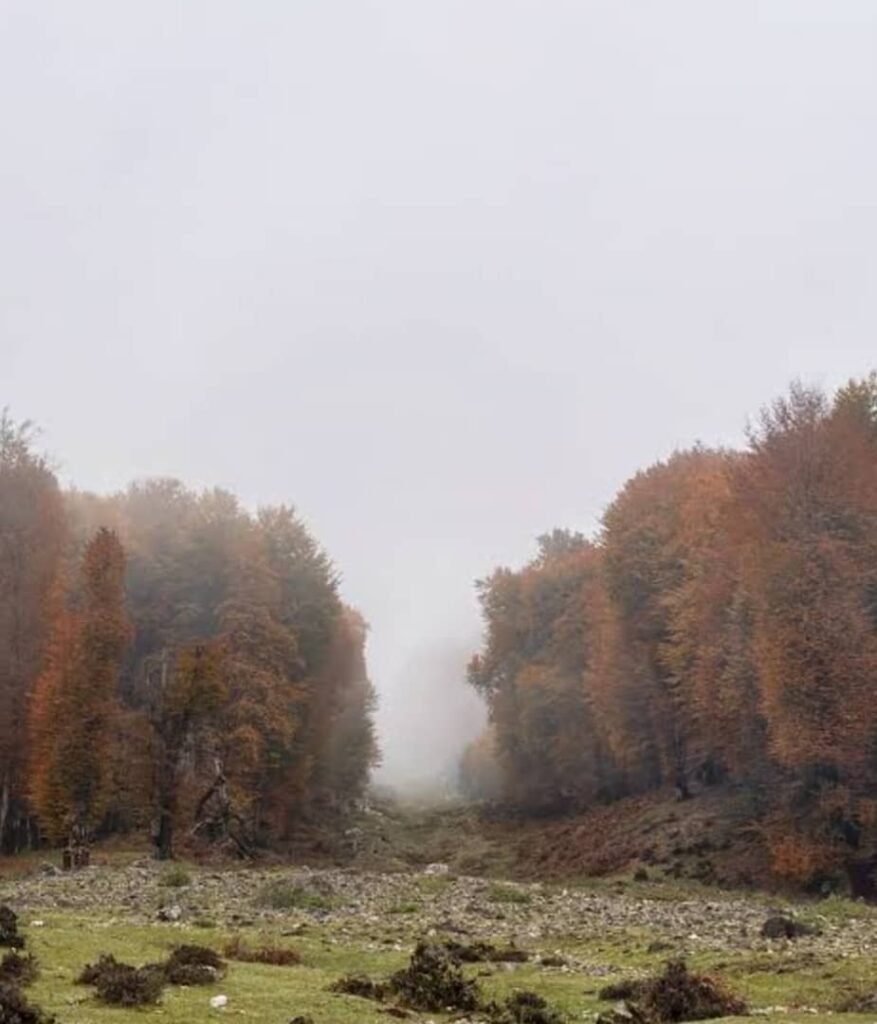 زیبایی دشت دامان گیلان در پاییز