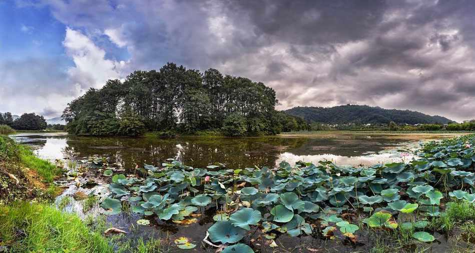  تالاب سوستان لاهیجان
