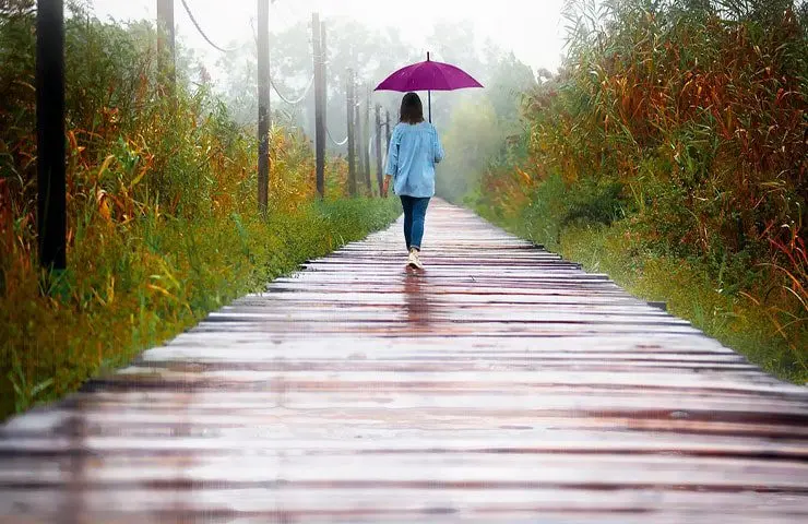  پل چوبی تالاب کیاشهر 