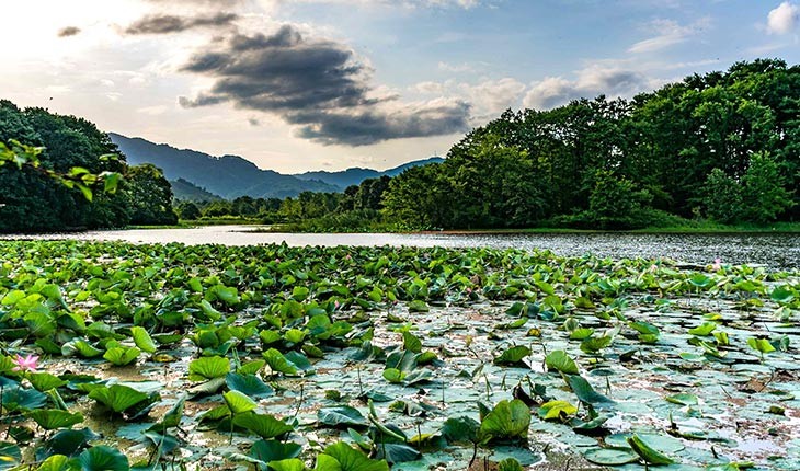  تالاب سوستان لاهیجان