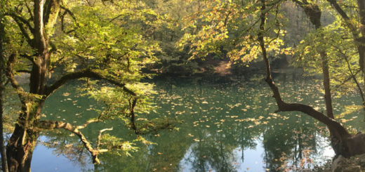 دریاچه دوقلوی سیاه گاو ایلام 