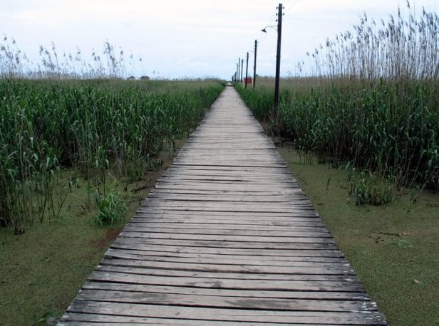  پل چوبی تالاب کیاشهر 