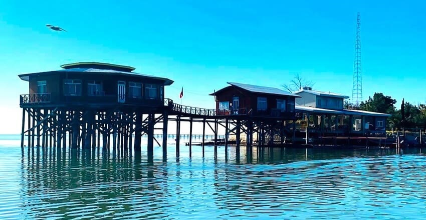 جزیره آشوراده