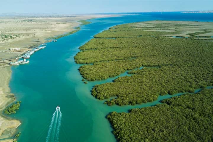 جنگل حرا قشم