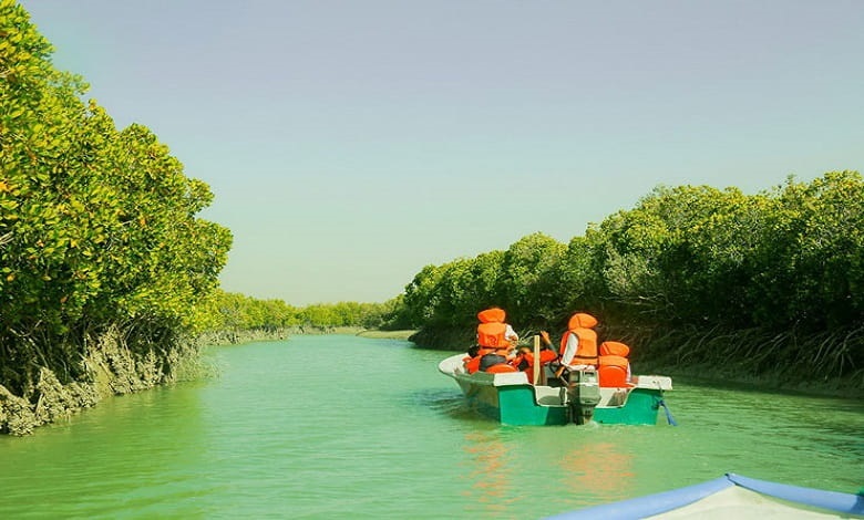 شگفتی جنگل حرا