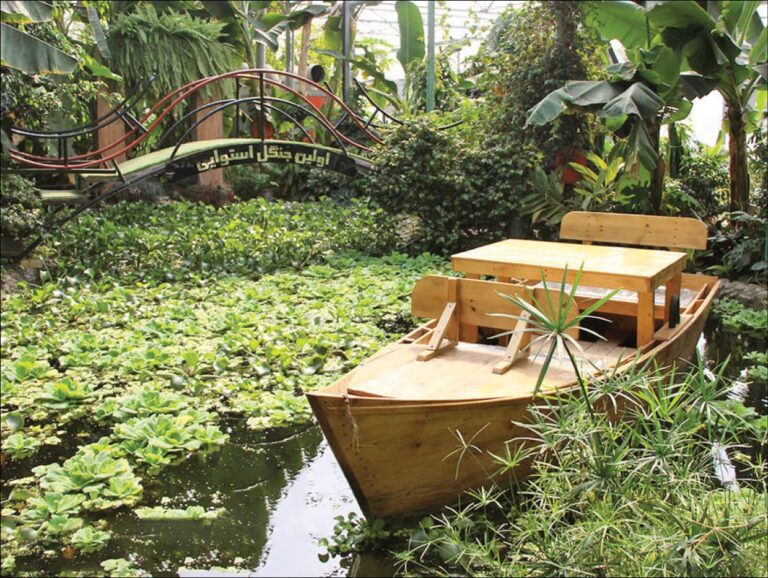 جنگل استوایی پاپایا