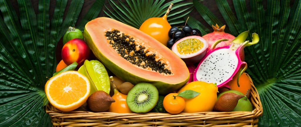 جنگل استوایی پاپایا کجاست