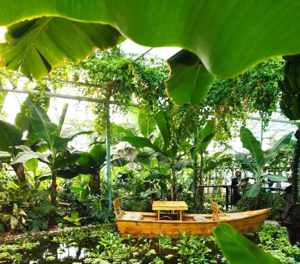 جنگل استوایی ایران