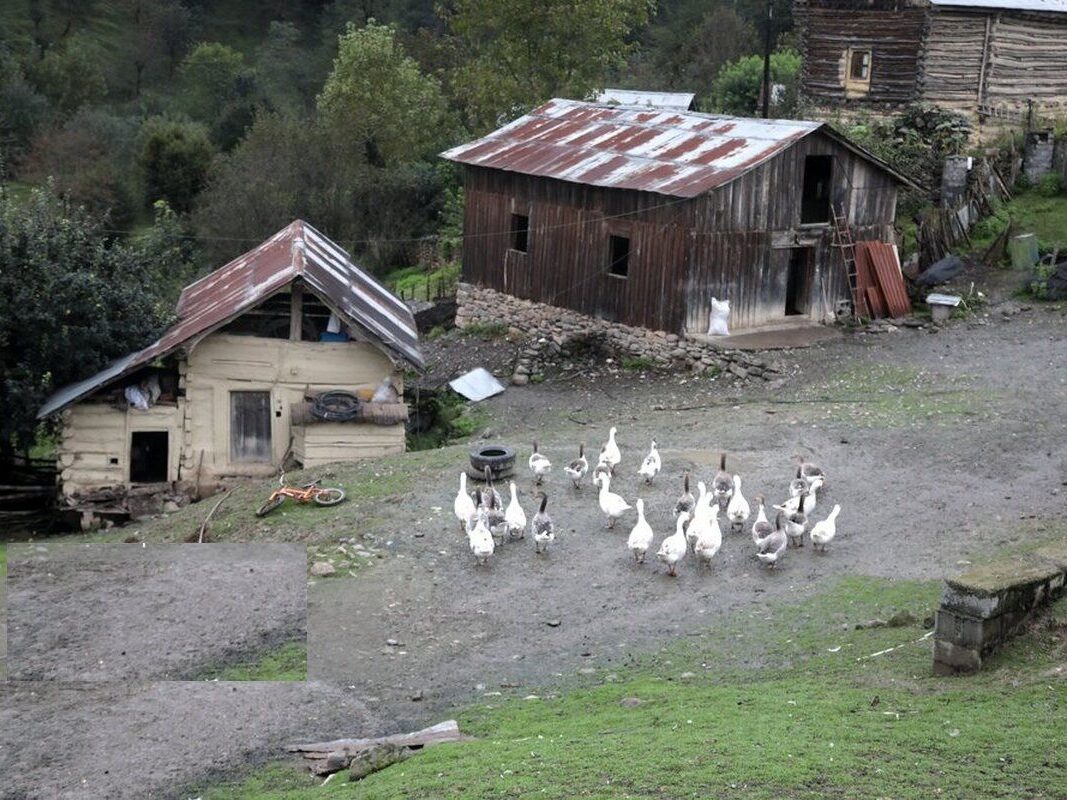 راهنمای سفر به آبشار دراسله سوادکوه + مسیر دسترسی