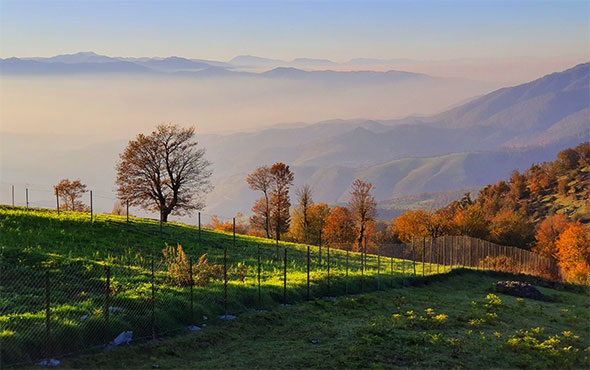 دشت سی دشت رشت