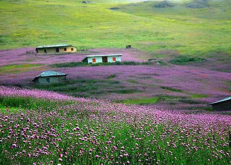 دریاچه نئور اردبیل