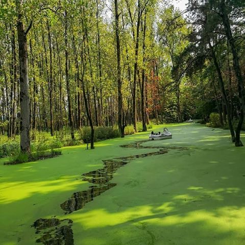 مرداب سراوان