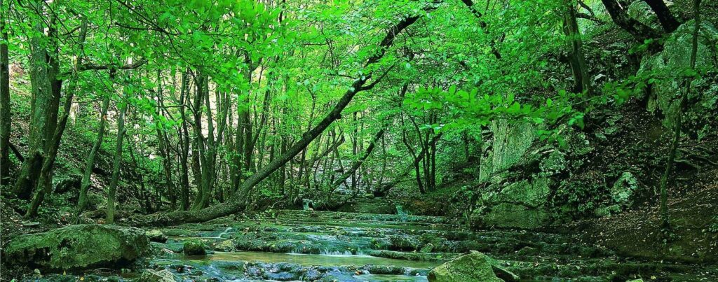 پارک گلستان