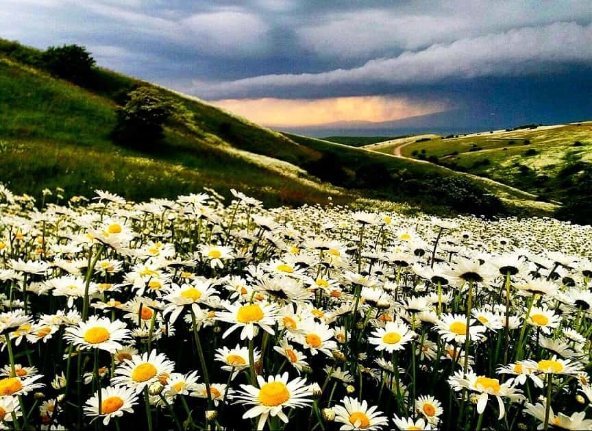 اردبیل کجاست