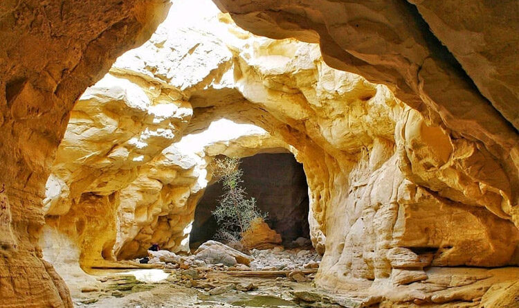 چشمه اوسیاه