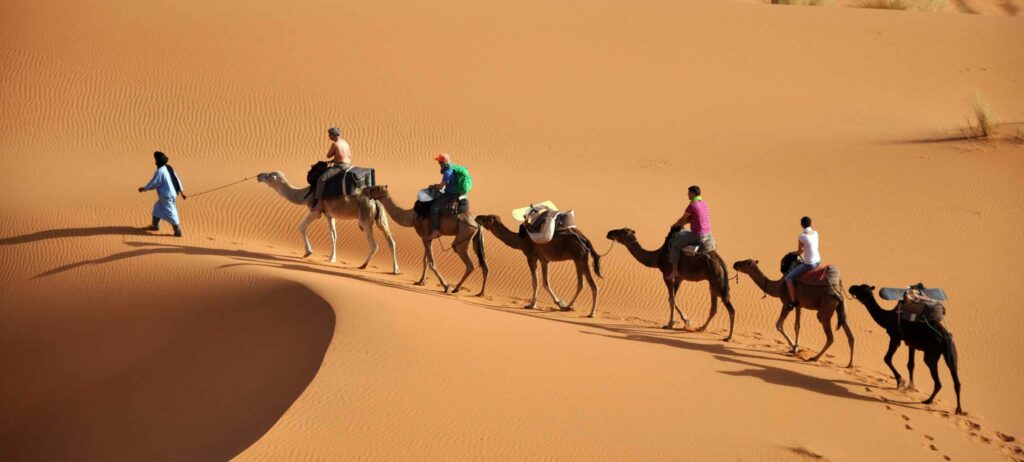 کویرگردی کجا بریم