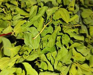 دره چالکندی