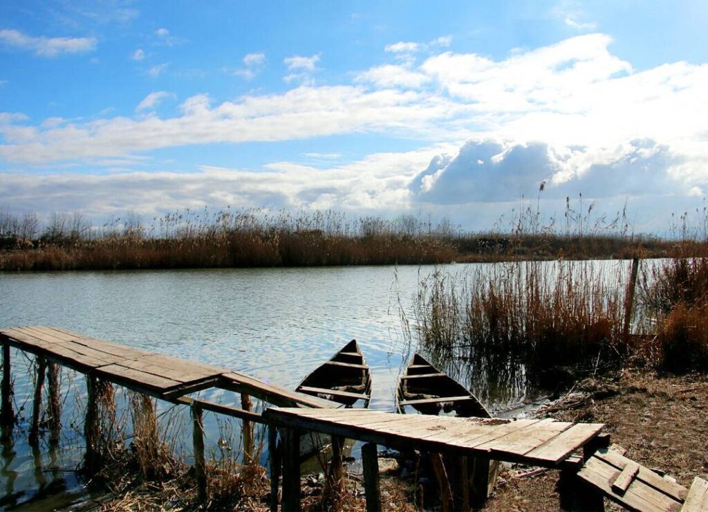 جزیره ارشیا چمخاله