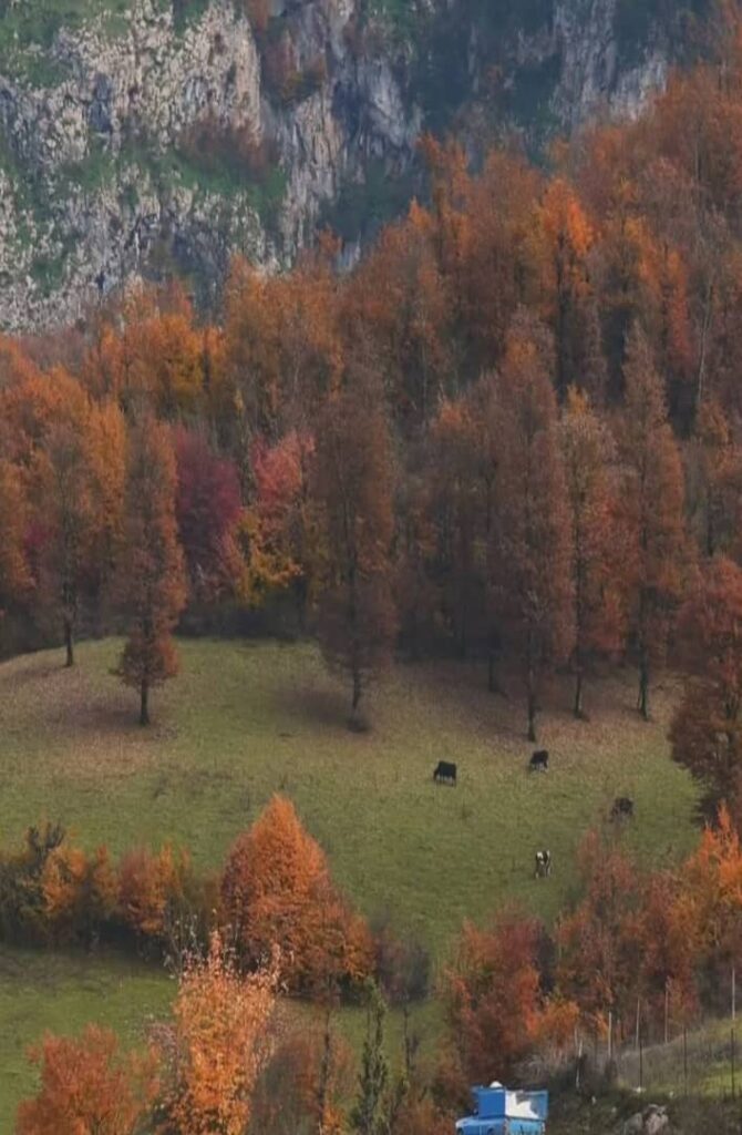 استخر دو قلوی پلنگ دره