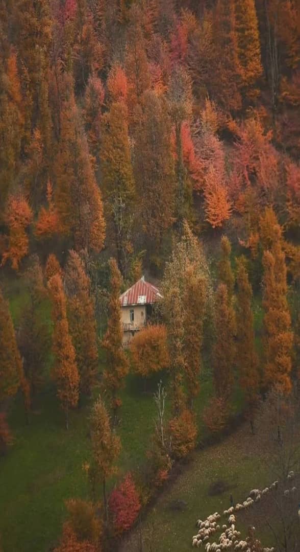 پلنگ دره گیلان