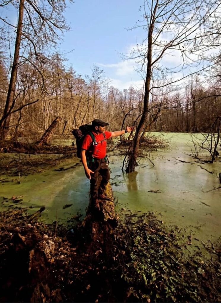 مرداب آنجلیسارویان