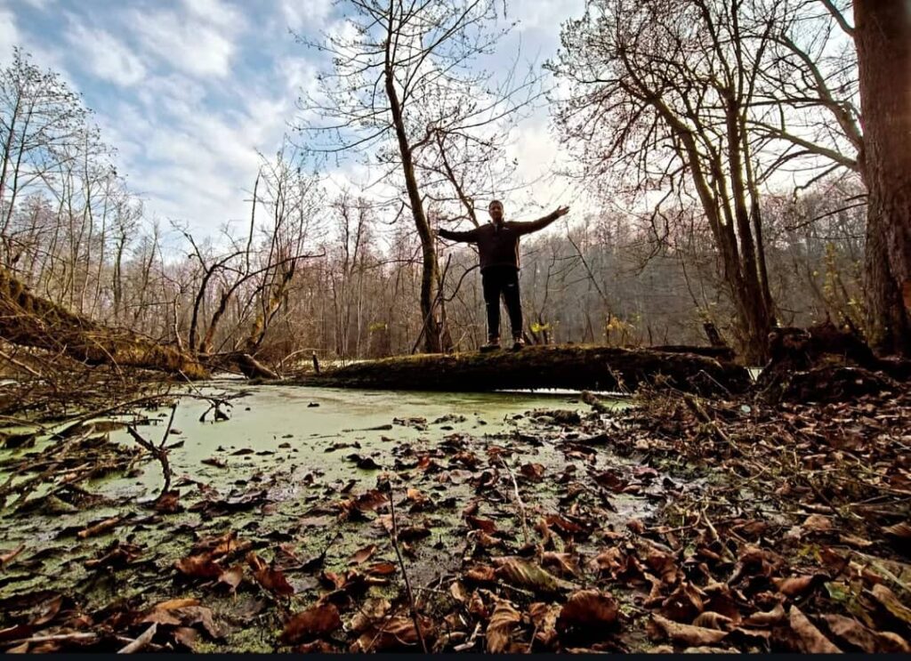 مرداب آنجلیسارویان