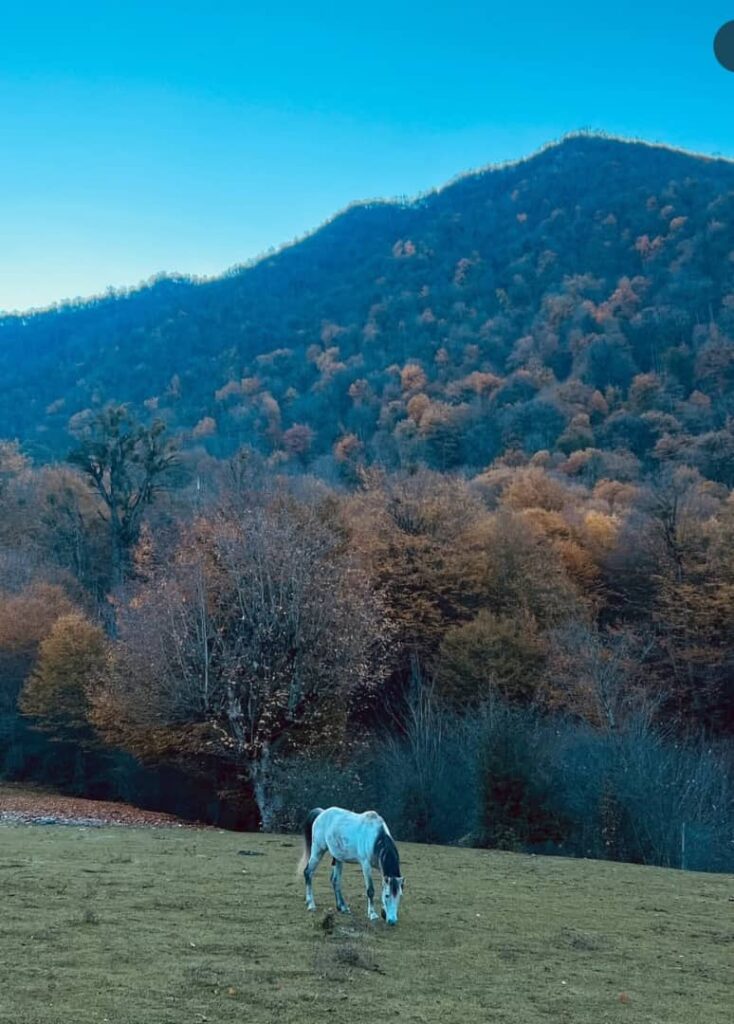 دشت شمسک گرگان