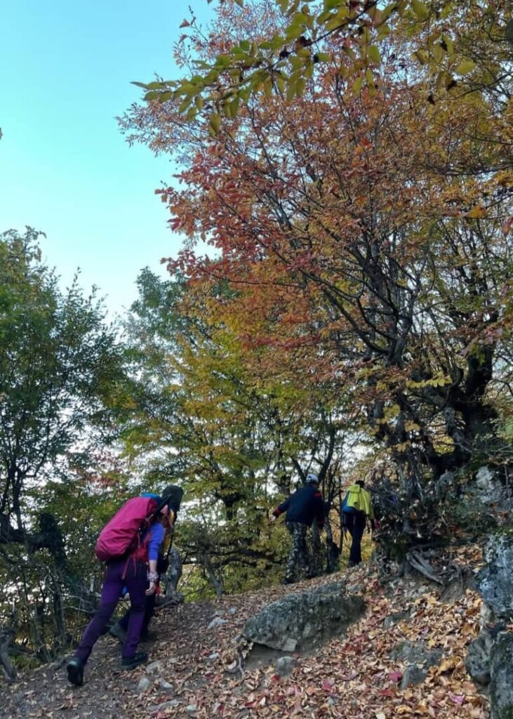 دشت شمسک گرگان