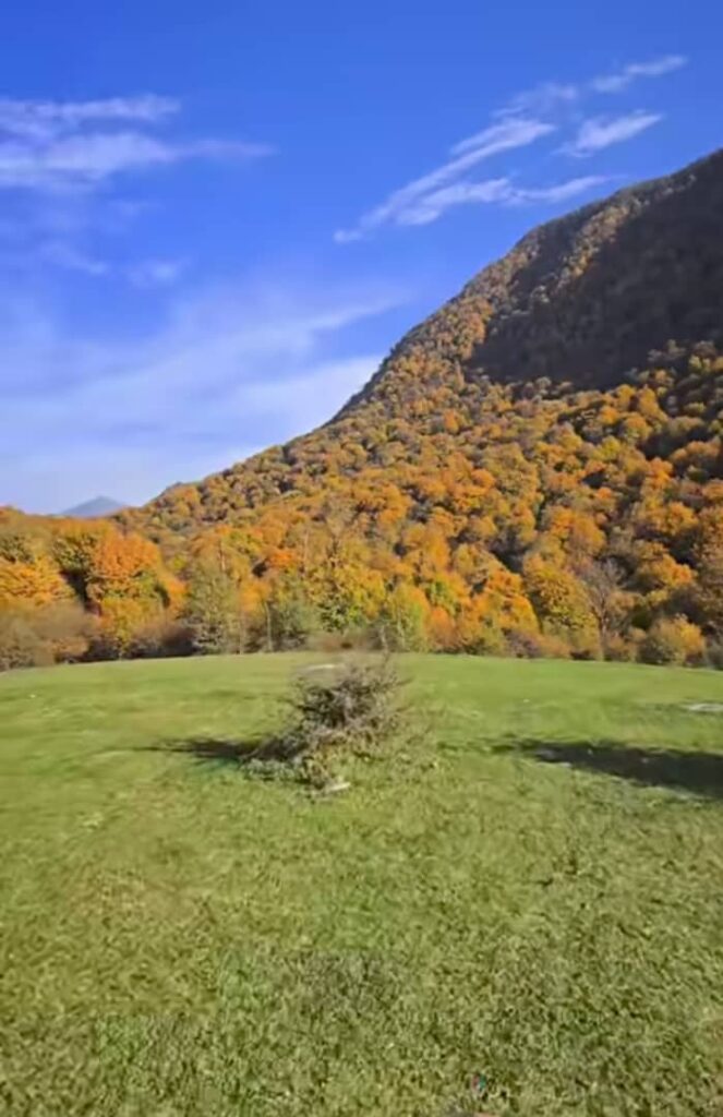 دشت شمسک گرگان