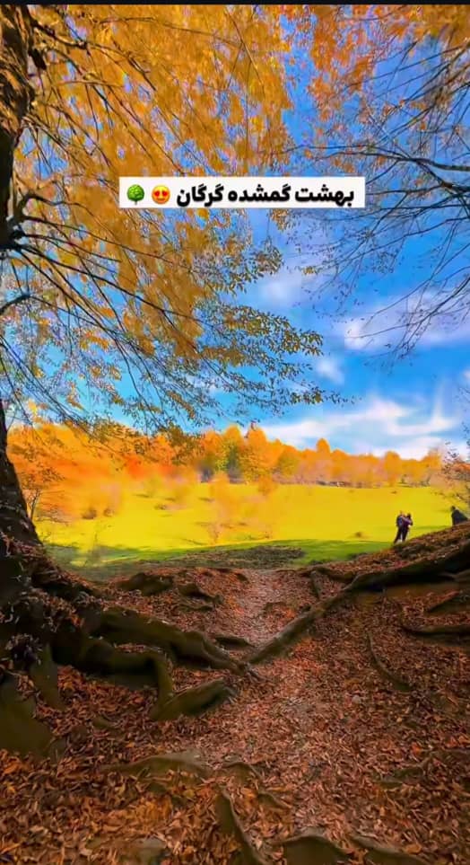 دشت شمسک گرگان