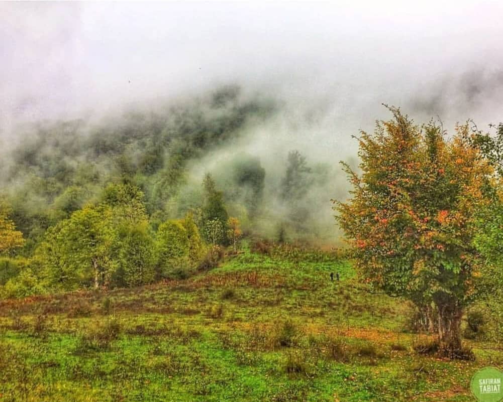 دشت شمسک گرگان