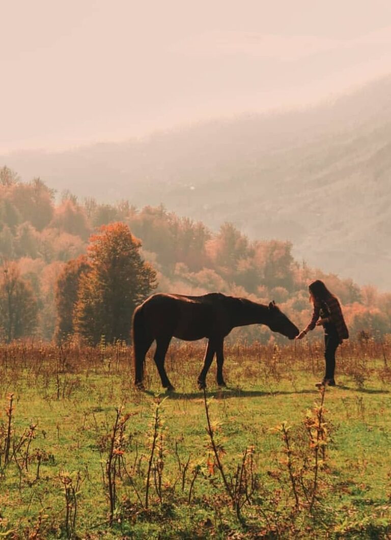 دشت شمسک گرگان