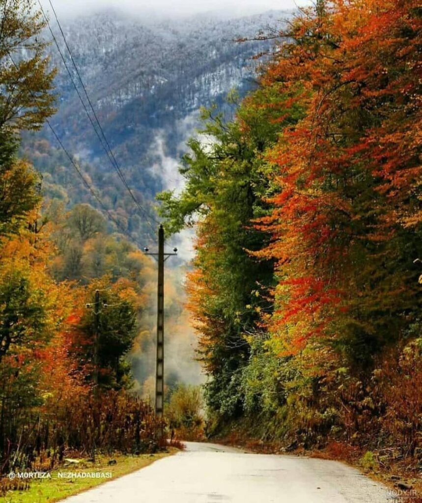 جنگل جوارم سوادکوه