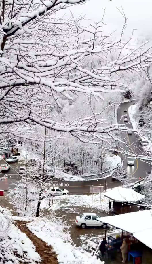 ماسوله برفی