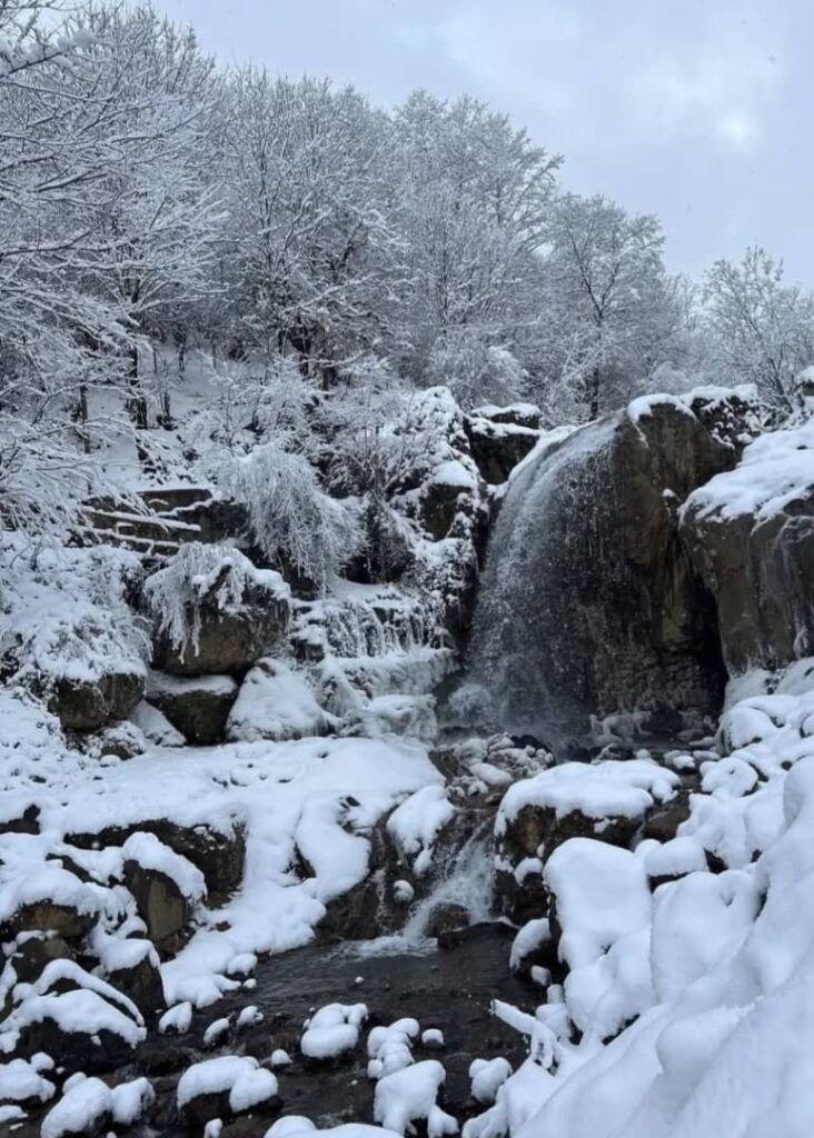 ماسوله برفی