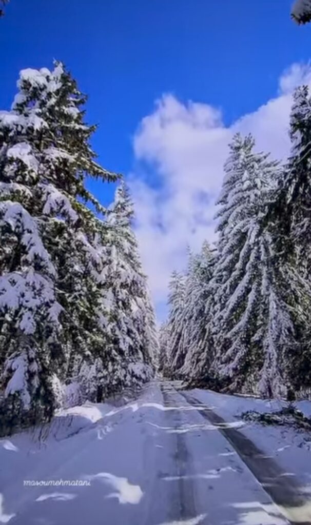 بهترین جاهای دیدنی شمال در زمستان-جنگل لاجیم سوادکوه