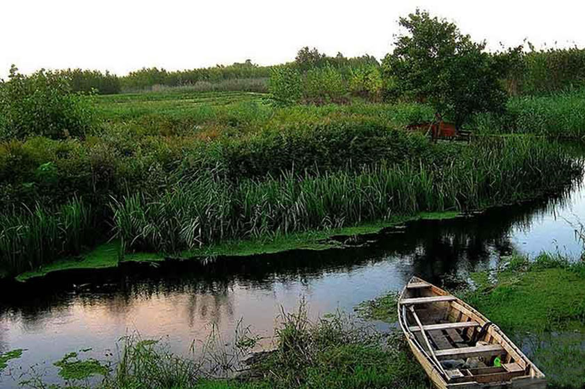 تالاب سیاه درویشان گیلان