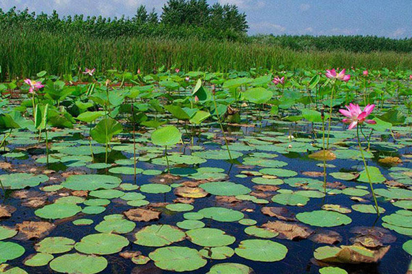 تالاب سیاه درویشان گیلان