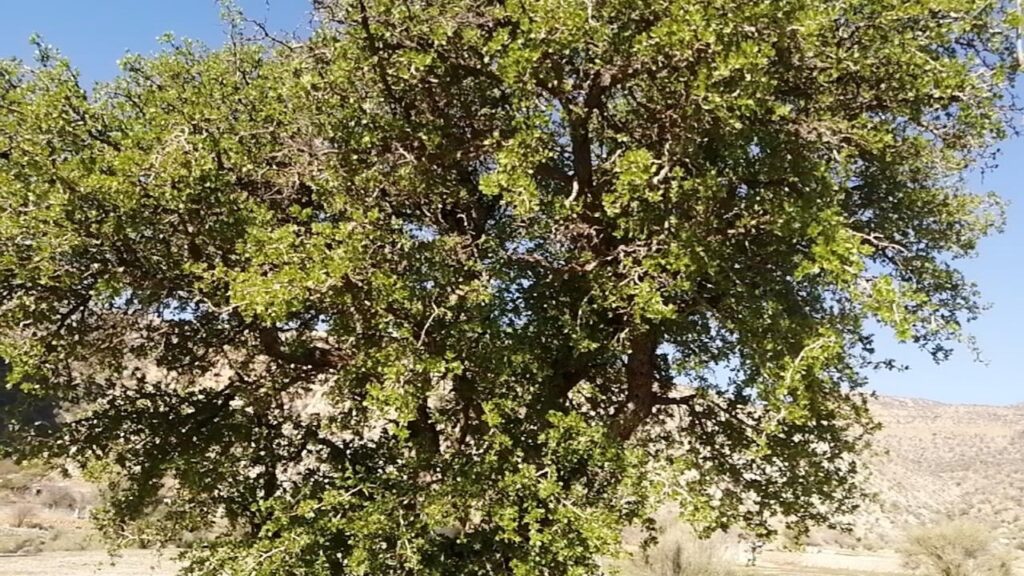 تنگخوش کجاست