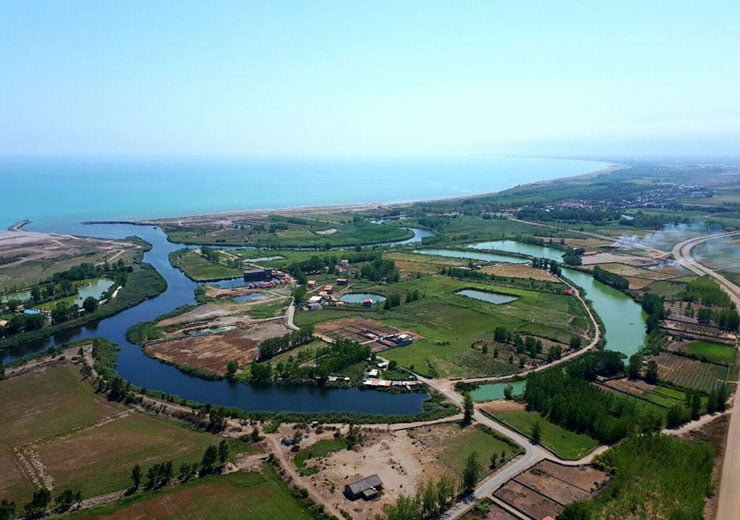 جزیره ارشیا چمخاله