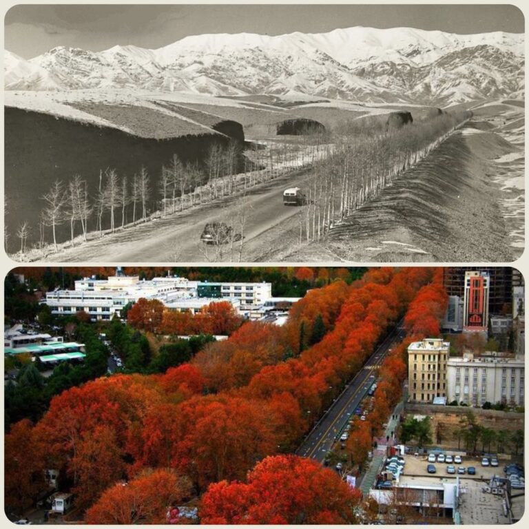 خیابان ولیعصر