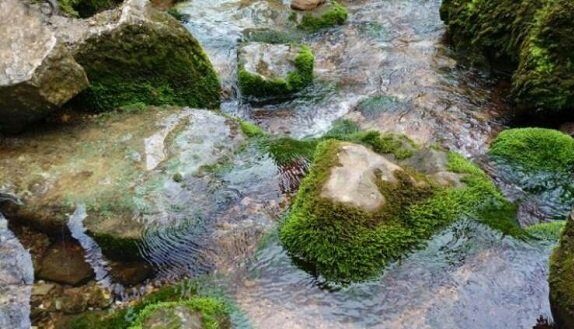 چشمه دو آب چابکسر