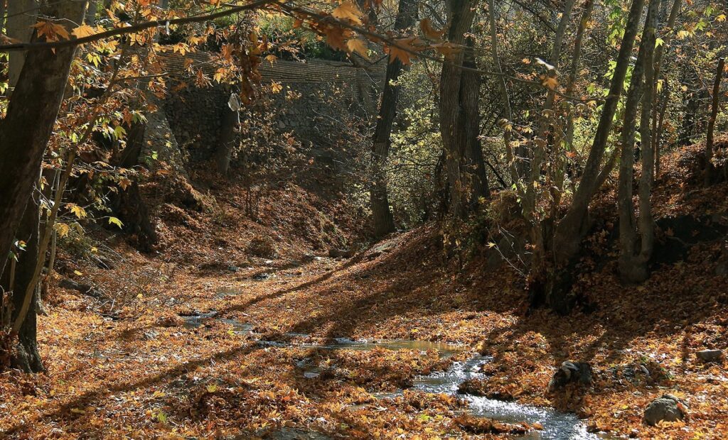 روستای کنگ کجاست؟